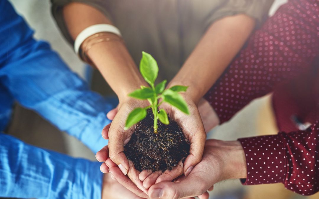 Leadership Under Pressure: Why Collaboration Matters More Than Ever