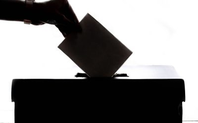 When the Dust Settles: Navigating Local Political Change